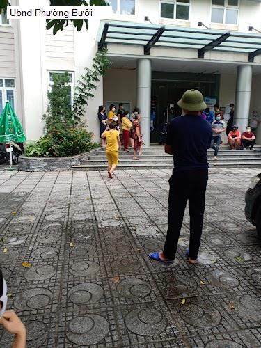 Ubnd Phường Bưởi