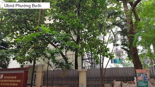 Ubnd Phường Bưởi