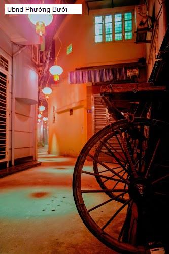 Ubnd Phường Bưởi
