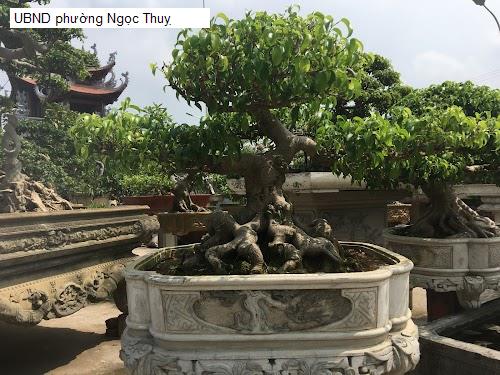 UBND phường Ngọc Thuỵ