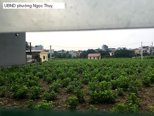 UBND phường Ngọc Thuỵ