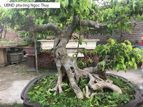 UBND phường Ngọc Thuỵ
