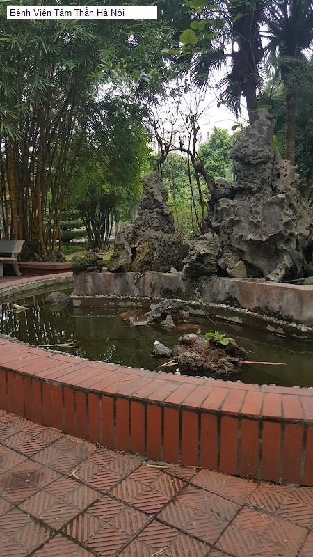 Bệnh Viện Tâm Thần Hà Nội