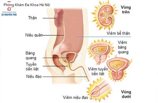 Phòng Khám Đa Khoa Hà Nội