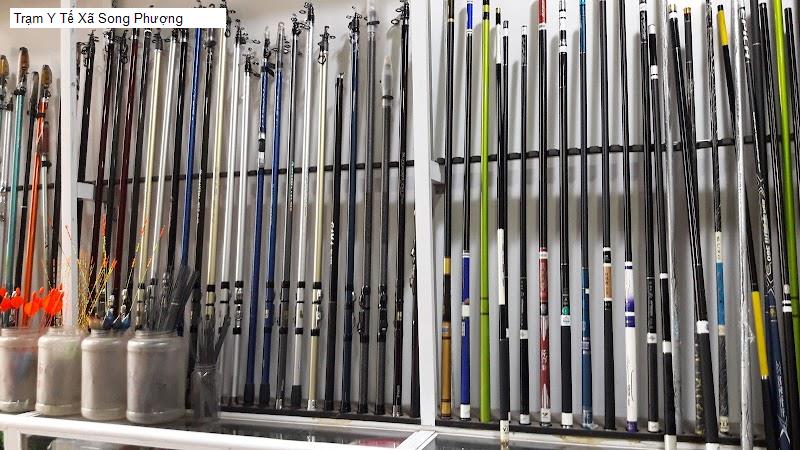 Trạm Y Tế Xã Song Phượng