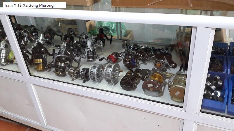 Trạm Y Tế Xã Song Phượng