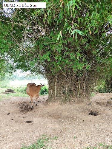 UBND xã Bắc Sơn