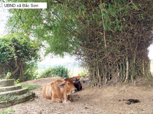 UBND xã Bắc Sơn