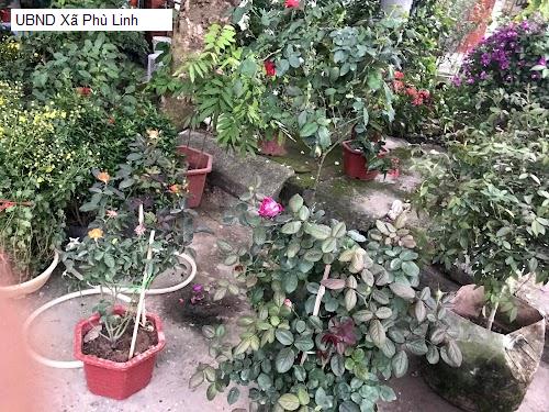 UBND Xã Phù Linh