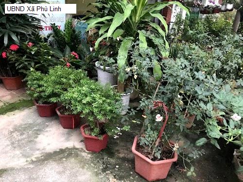UBND Xã Phù Linh
