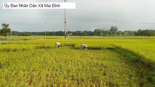 Ủy Ban Nhân Dân Xã Mai Đình