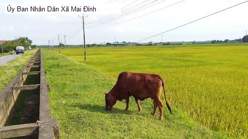Ủy Ban Nhân Dân Xã Mai Đình