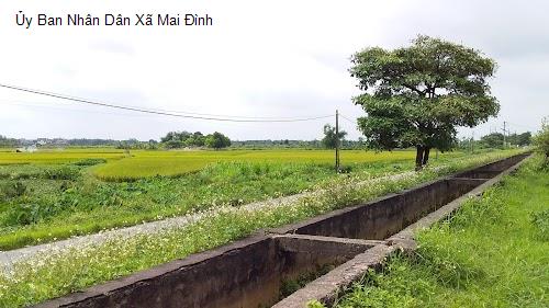Ủy Ban Nhân Dân Xã Mai Đình