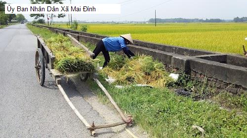 Ủy Ban Nhân Dân Xã Mai Đình