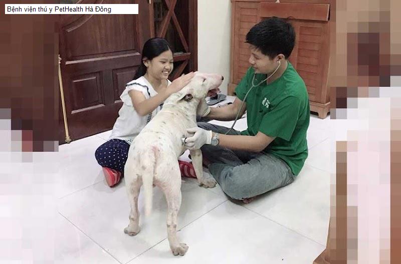 Bệnh viện thú y PetHealth Hà Đông