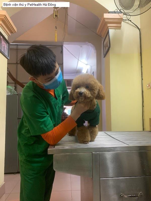 Bệnh viện thú y PetHealth Hà Đông