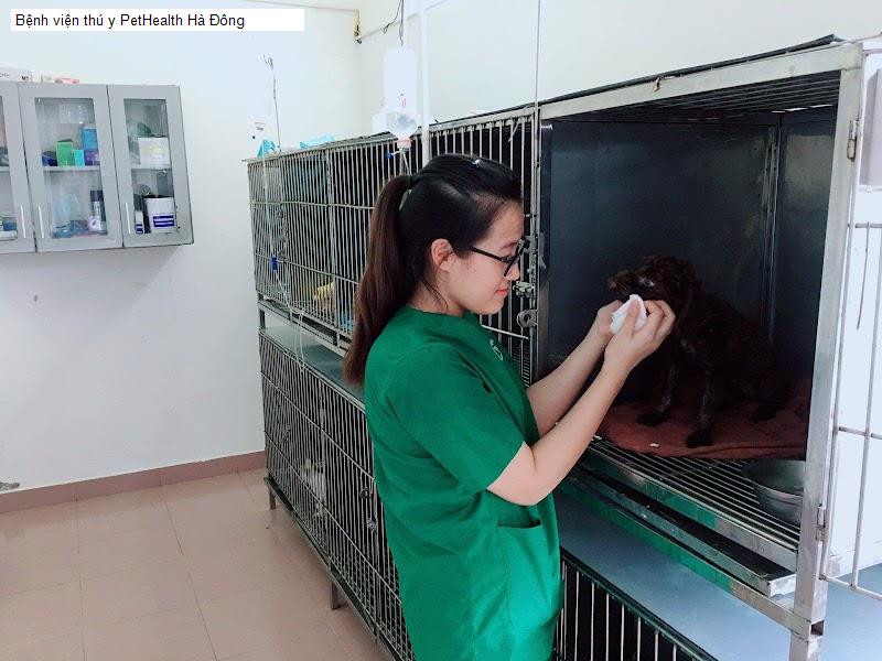 Bệnh viện thú y PetHealth Hà Đông