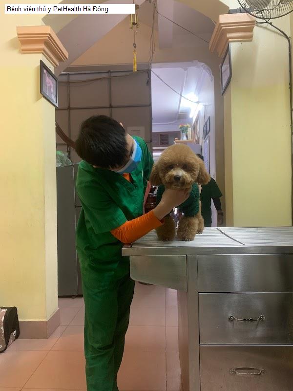 Bệnh viện thú y PetHealth Hà Đông