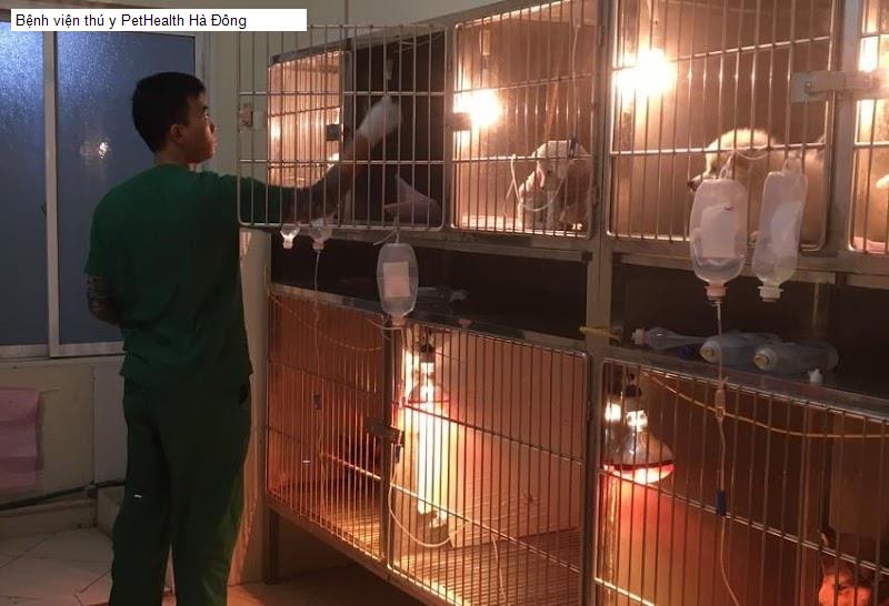Bệnh viện thú y PetHealth Hà Đông
