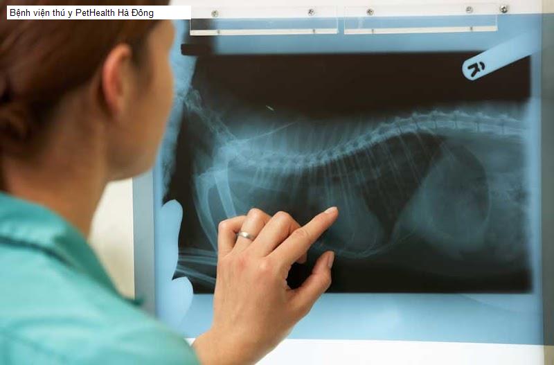 Bệnh viện thú y PetHealth Hà Đông