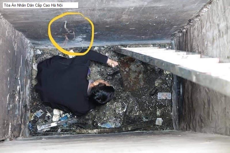 Tòa Án Nhân Dân Cấp Cao Hà Nội