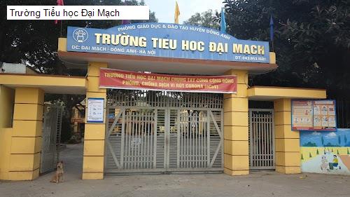 Trường Tiểu học Đại Mạch