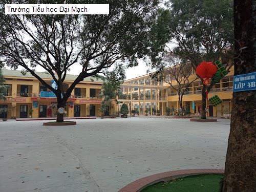 Trường Tiểu học Đại Mạch