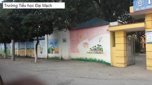 Trường Tiểu học Đại Mạch