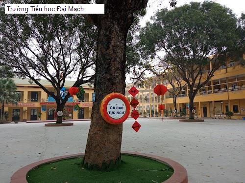 Trường Tiểu học Đại Mạch