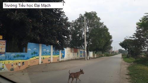 Trường Tiểu học Đại Mạch