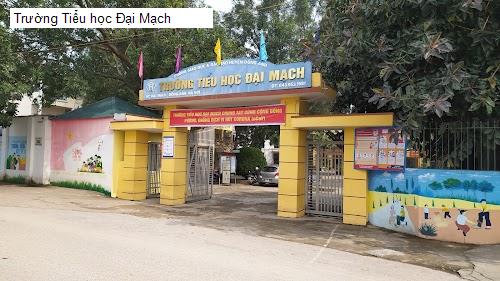 Trường Tiểu học Đại Mạch