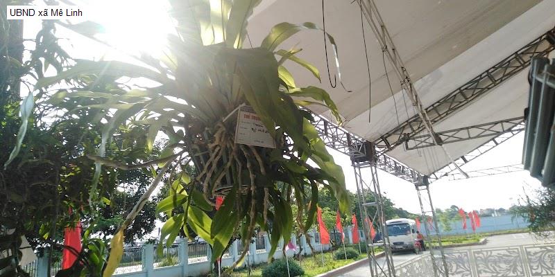UBND xã Mê Linh