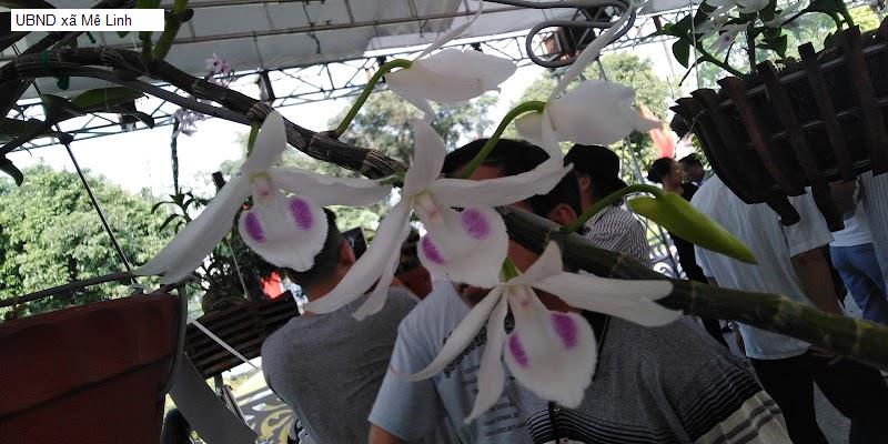 UBND xã Mê Linh