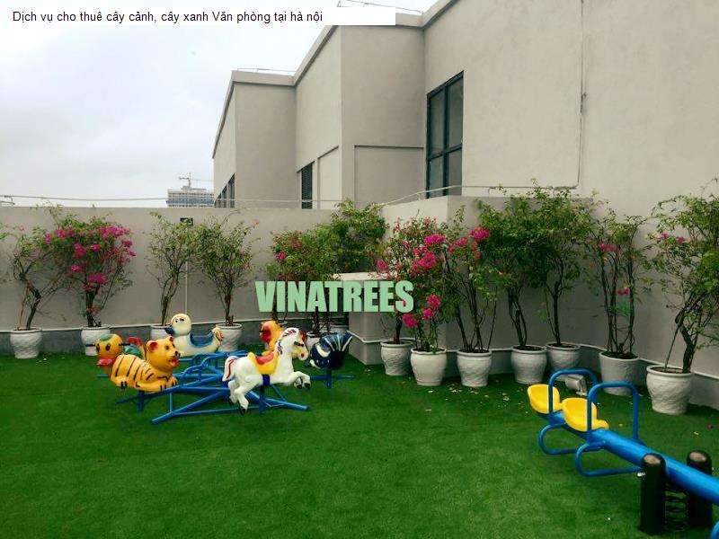 Dịch vụ cho thuê cây cảnh, cây xanh Văn phòng tại hà nội