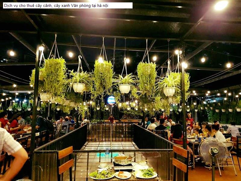 Dịch vụ cho thuê cây cảnh, cây xanh Văn phòng tại hà nội