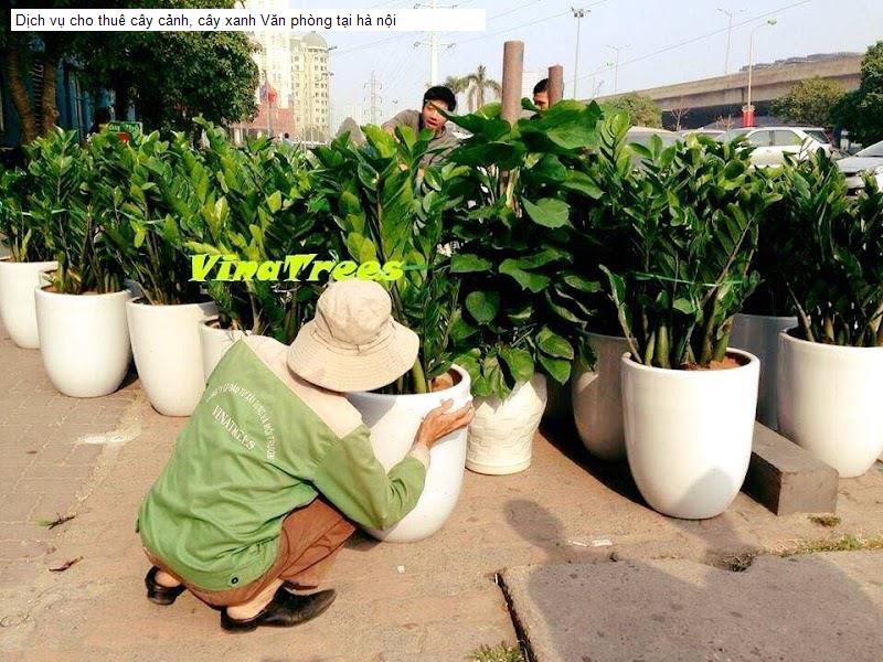 Dịch vụ cho thuê cây cảnh, cây xanh Văn phòng tại hà nội