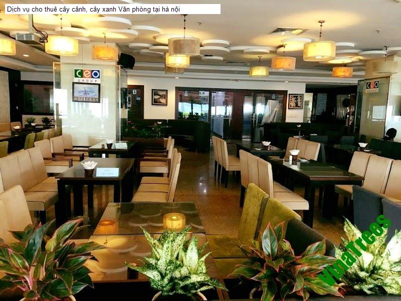 Dịch vụ cho thuê cây cảnh, cây xanh Văn phòng tại hà nội