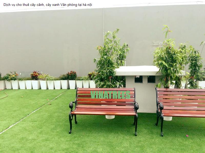 Dịch vụ cho thuê cây cảnh, cây xanh Văn phòng tại hà nội