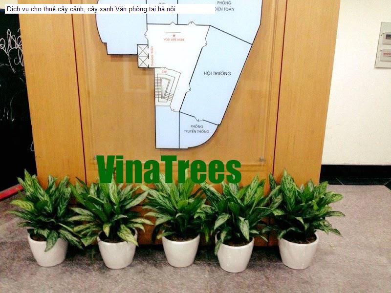 Dịch vụ cho thuê cây cảnh, cây xanh Văn phòng tại hà nội