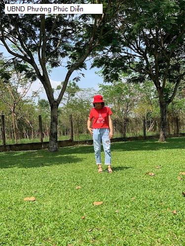 UBND Phường Phúc Diễn