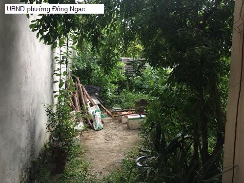 UBND phường Đông Ngạc
