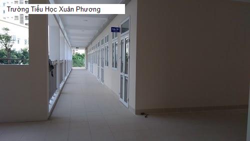 Trường Tiểu Học Xuân Phương