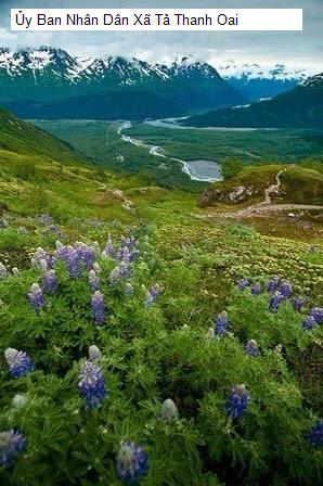 Ủy Ban Nhân Dân Xã Tả Thanh Oai