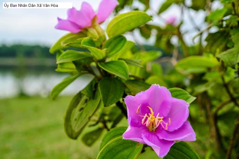 Ủy Ban Nhân Dân Xã Vân Hòa