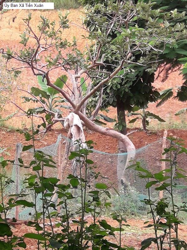 Ủy Ban Xã Tiến Xuân