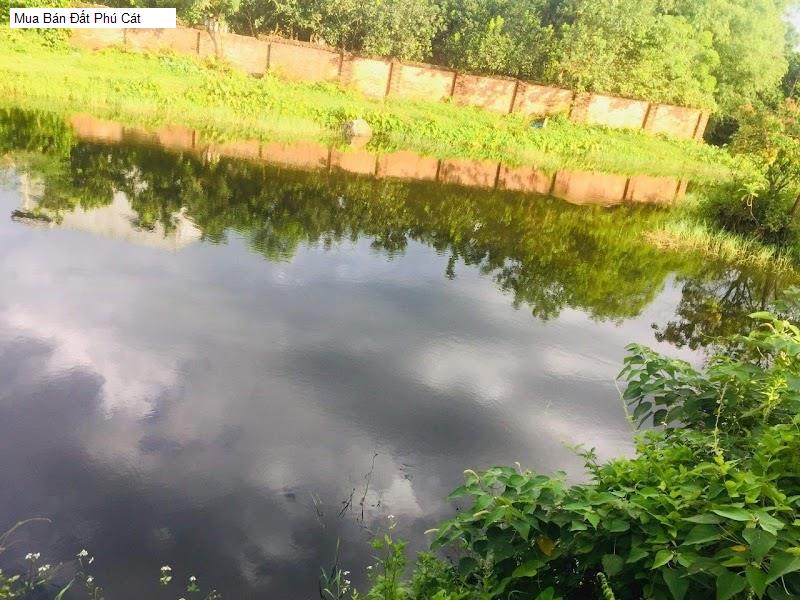 Mua Bán Đất Phú Cát