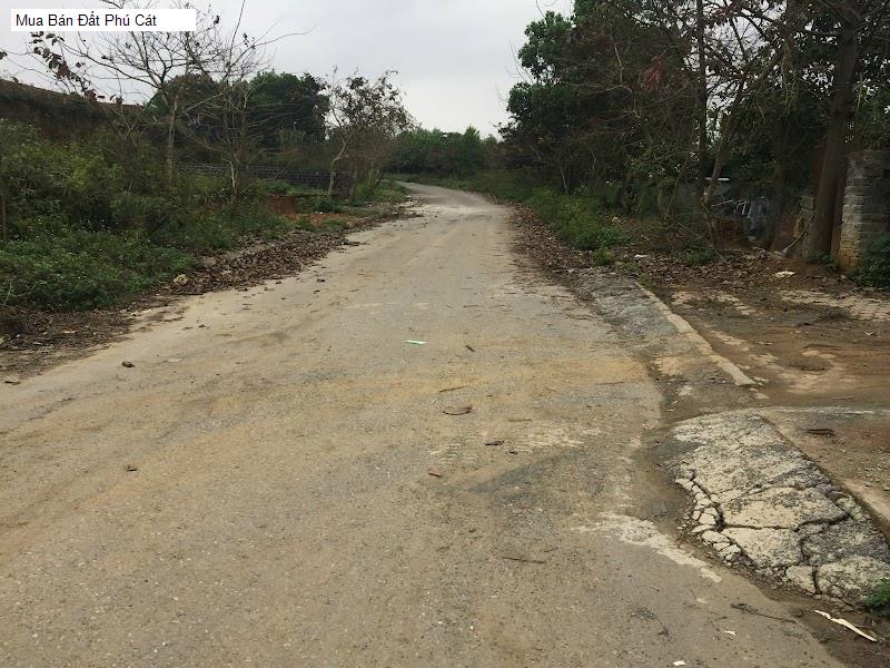 Mua Bán Đất Phú Cát