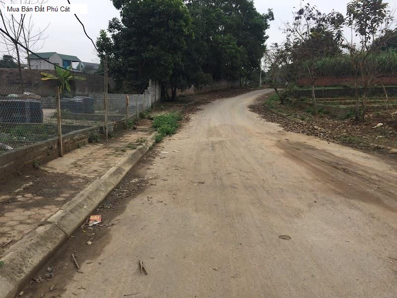 Mua Bán Đất Phú Cát