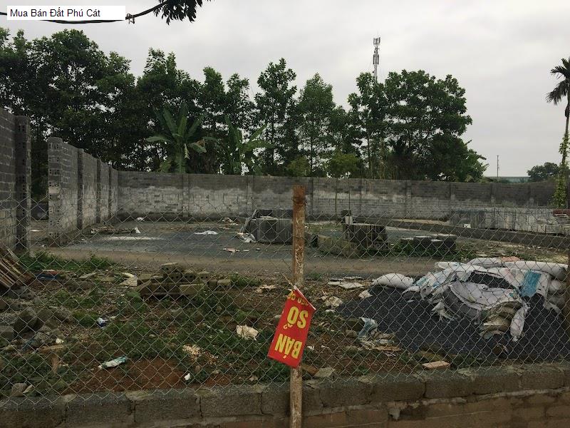 Mua Bán Đất Phú Cát