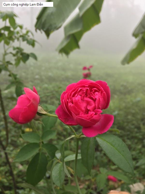 Cụm công nghiệp Lam Điền